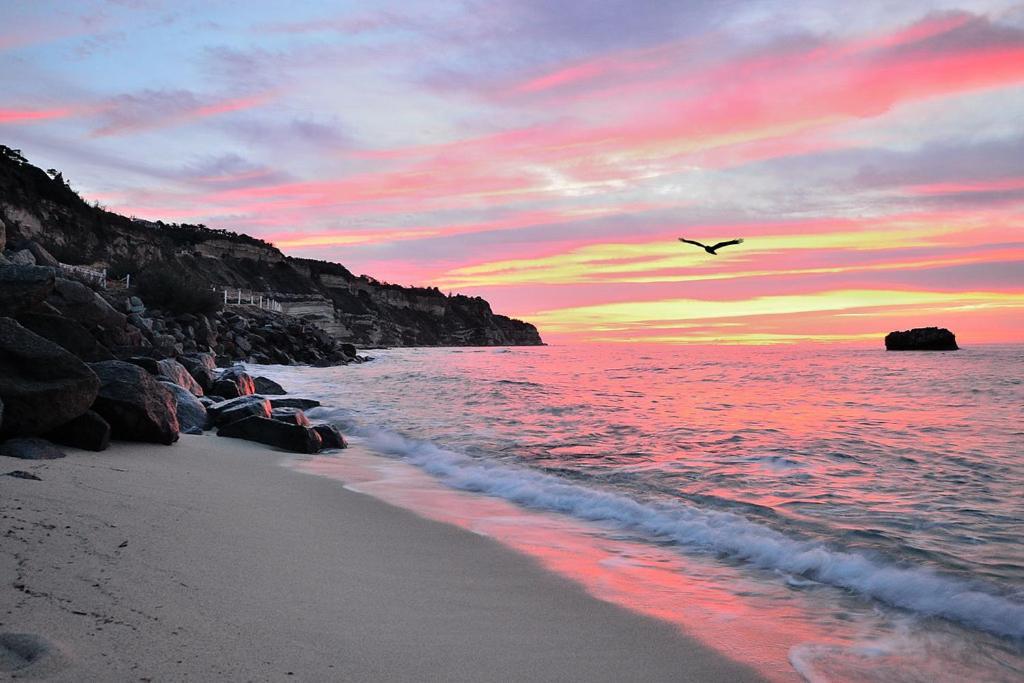 Borgo Di Riaci Beach Resort 산타도메니카 외부 사진